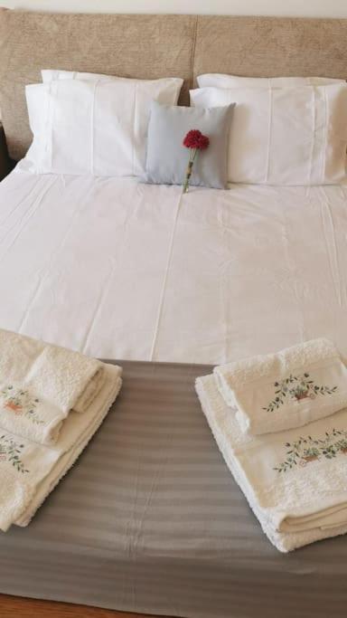 Amazing Lodge By The Ocean - Fully Equipped! 에리세이라 외부 사진